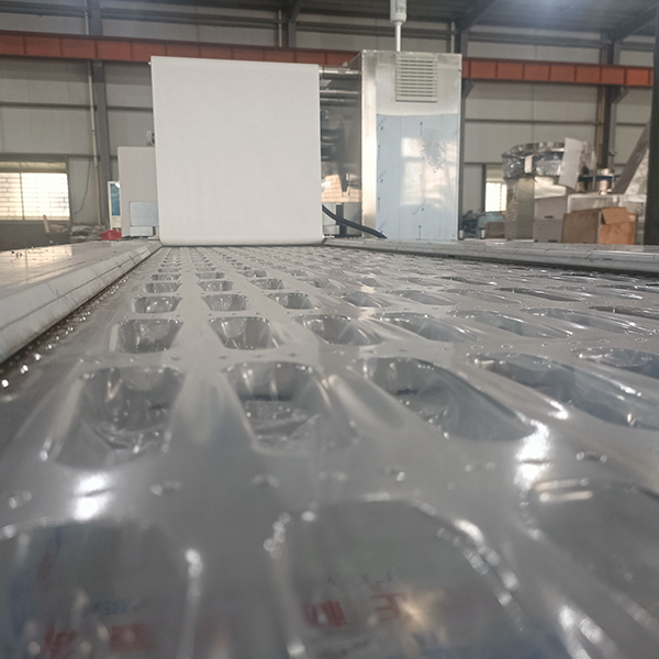 Blister Packing Machine